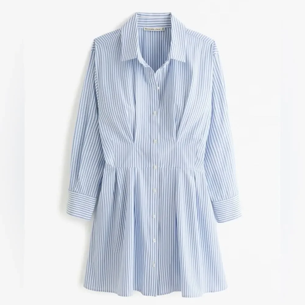 Abercrombie and Fitch Long-Sleeve Poplin Shirt Dress Striped Blue White - Picture 5 of 9
